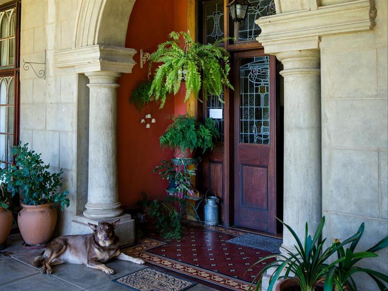 Stone columns and an arched portico at the front door, with potted ferns and a dog asleep on the step